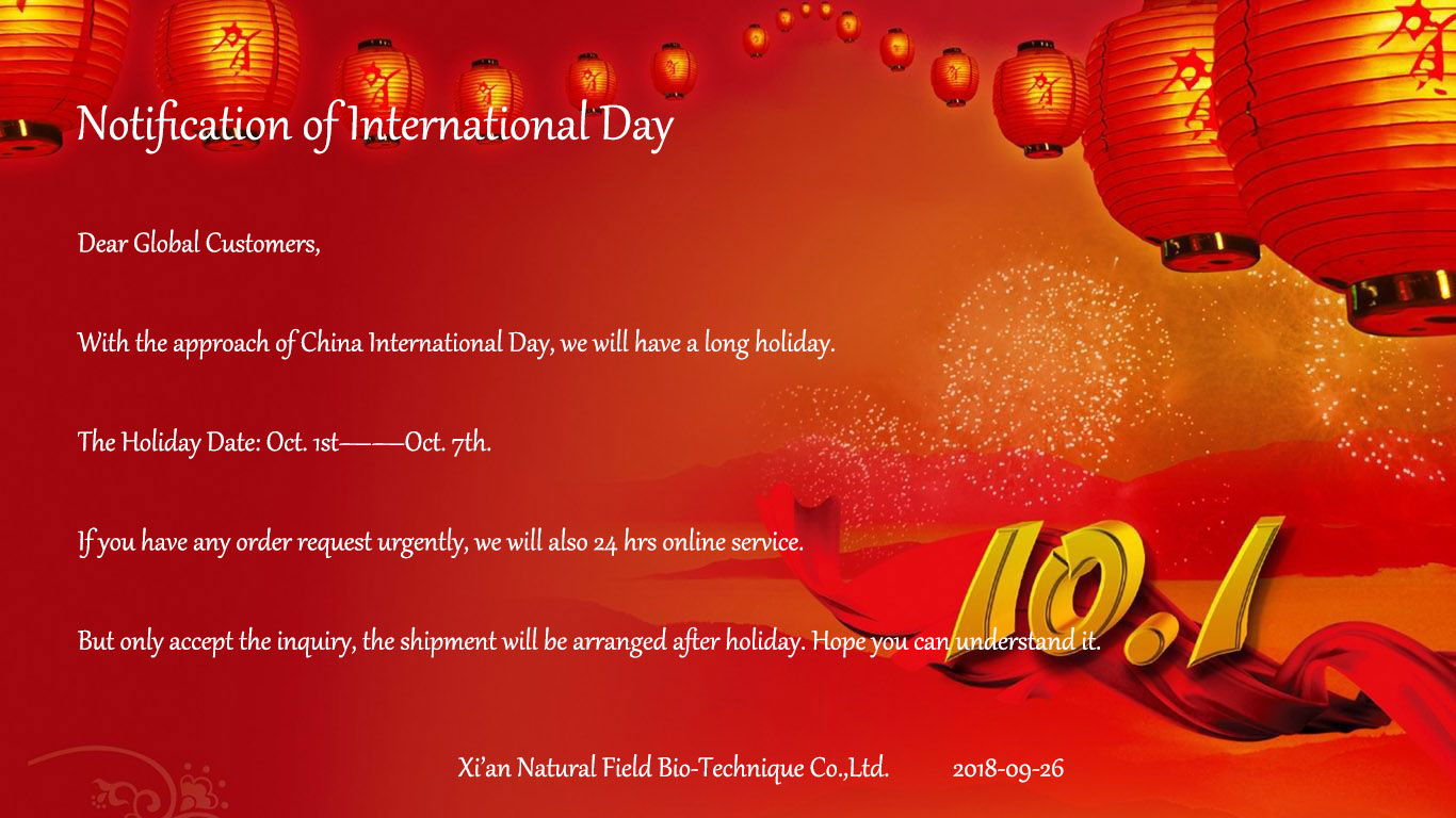 International-Day.jpg